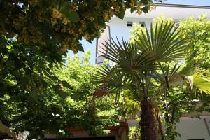 Zahrada ubytování Hotel Villa dei Gerani