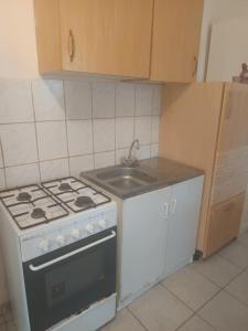 a kitchen with a stove and a sink at Tapolcai Tóparti Fészek in Tapolca