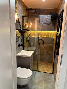 a bathroom with a shower and a toilet and a sink at Villa Na Fali in Grzybowo +57 photos