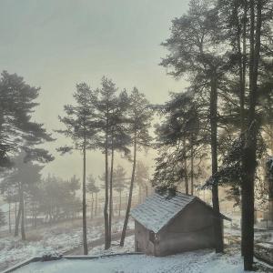 a small house in the snow next to some trees at Premium Studio Apartment in Private Villa Nisim in Batak