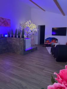 Saint-Vincent-de-PaulにあるMaison M Intime Roomの紫色の照明と花とベッドのあるリビングルーム