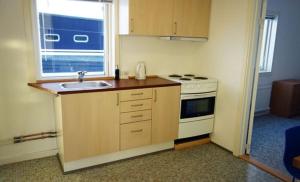 努克万德瑞胡塞特4号旅舍的带水槽、炉灶和窗户的厨房