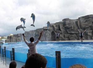 a group of people watching dolphins jumping in the water at Apartment Rustaveli 59 in Batumi