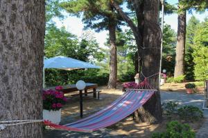 a hammock in a park between two trees at Villa Curcio casa vacanze  +21 photos