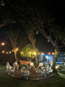 una persona seduta su una sedia sotto due alberi di notte di Allena - Cabin, Farm and Camp House in Alfonso Cavite ad Alfonso
