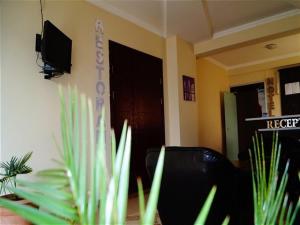 TV o dispositivi per l'intrattenimento presso Hotel Otsneba