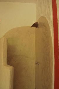 Fotografie z fotogalerie ubytování Villa Los Mangles Boutique Hotel v destinaci Ostrov Holbox