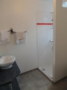 uma casa de banho com um lavatório e um chuveiro em Hôtel Restaurant du Plomb du Cantal em Murat