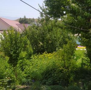Fotografie z fotogalerie ubytování Guest house USMAN v destinaci Kazarman