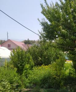 Fotografie z fotogalerie ubytování Guest house USMAN v destinaci Kazarman