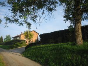Příroda nedaleko bed and breakfast