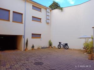 Jízda na kole v ubytování A7 Apartments nebo okolí