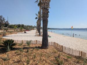 a beach with palm trees and people in the water at L'étang au soleil in Berre-lʼÉtang