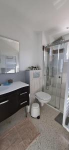 ein Badezimmer mit Dusche, Toilette und Waschbecken in der Unterkunft haut de Villa Fumseck climatisé in Toulon