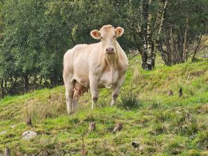 Fotografie z fotogalerie ubytování Relaxing accomodation v destinaci Tau + 8 fotografií