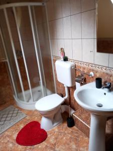 un baño con inodoro y lavabo en Krisztina Kulcsosház Ivo, en Izvoare 43 fotos más