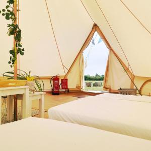 Zimmer mit einem Bett und einem Zelt in der Unterkunft Trevena Cross Glamping & Camping in Helston