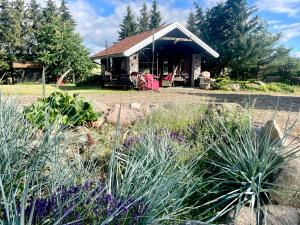 a house with a garden in front of it at Siedlisko Żywe Kamienie in Naguszewo +153 photos