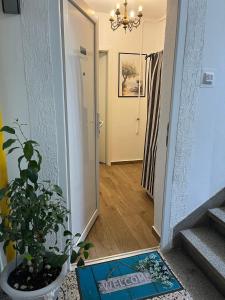 a mirror on the floor in a hallway with a plant at City apartment Blue Vibes in Pula