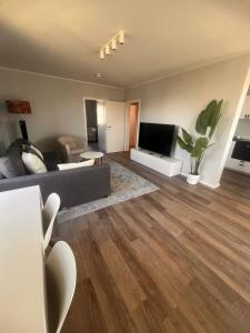 a living room with a couch and a tv at Ruhige Oase & Vollausstattung - AS1A in Weißenfels