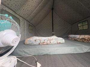 a room with a bed in a tent at Venus Camping and resort Site in Kailāna +9 photos