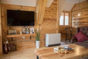 Televiisor ja/või meelelahutuskeskus majutusasutuses Apartman Crni bor 2 Tara