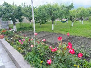 Κήπος έξω από το Chkalovka Guest House With Sevan View
