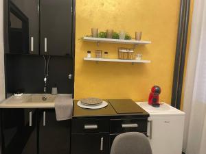 Una pequeña cocina con fregadero y encimera. en Okapi stays, en Belgrado
