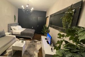 sala de estar con sofá y mesa con TV. en Okapi stays, en Belgrado