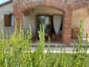 Zahrada ubytování Istrian Villa Melany
