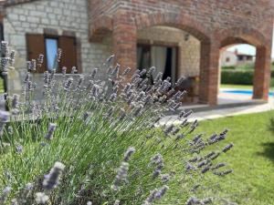 Zahrada ubytování Istrian Villa Melany