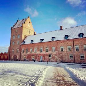 Bäckaskog Slott að vetri til