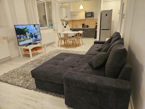a living room with a brown couch and a television at D&D Apartment in Mamaia Nord
