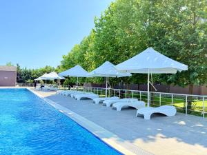 Gallery image of Mona Hotel and Cottages in Lankaran