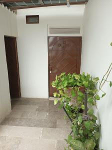 eine Tür mit einer Pflanze davor in der Unterkunft FASTCOM Flat in Karatschi