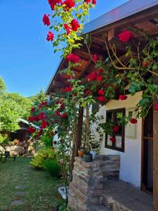 Fotografie z fotogalerie ubytování Етно кућа Нана Добра v destinaci Dimitrovgrad