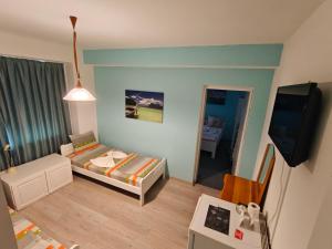TV a/nebo společenská místnost v ubytování Guesthouse Flora