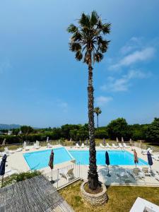 una palma seduta accanto a una piscina di Saint-Florent studio vue piscine a Saint-Florent