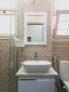 un baño con lavabo y espejo en زافيرو محطه الرمل للعائلات فقط - families only, en Alejandría