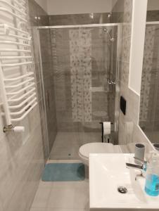 a bathroom with a shower and a toilet and a sink at Apartament 103 in Lądek-Zdrój
