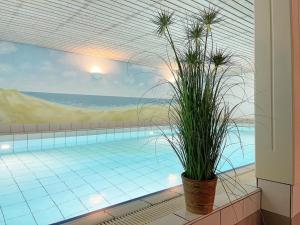 Bazén v ubytování Landhaus Süderhof App 15 in Keitum mit Pool und Sauna nebo v jeho okolí