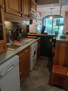 eine Küche mit Spüle und Geschirrspüler in der Unterkunft studio a proximite des pistes in Saint-Chaffrey