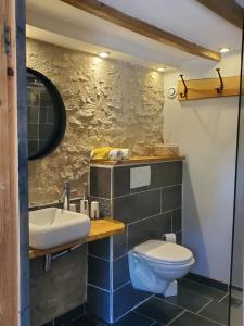 a bathroom with a sink and a toilet at la grange aux hirondelles in Sancoins