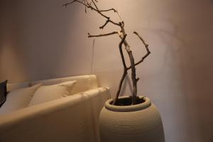 Zona d'estar a 凤凰古城树喜民宿店Shuxi Guesthouse- Fenghuang Ancient Town