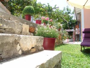 Zahrada ubytování Aiolos Rooms