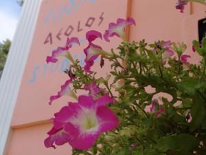 Zahrada ubytování Aiolos Rooms