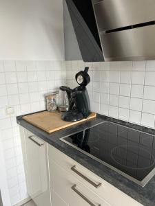 - un comptoir de cuisine avec une bouilloire et une cuisinière dans l'établissement Apartment Lara, à Friedrichshafen