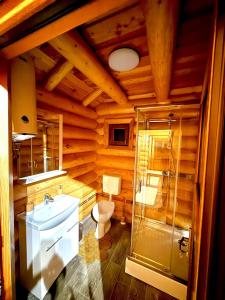 a bathroom with a toilet and a sink and a shower at Stâna Boierilor in Gura Rîului