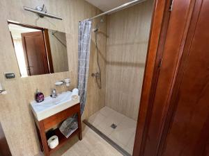 a bathroom with a shower and a sink and a mirror at Willa Bursztynowa 13 in Gdańsk +69 photos