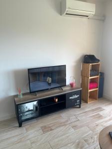 Televízia a/alebo spoločenská miestnosť v ubytovaní SUPERBE APPARTEMENT FACE AUX ILES SANGUINAIRES